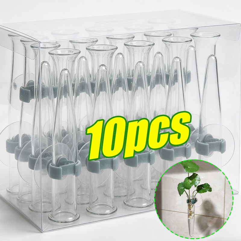Nutrition & Fitness Class - Tubi per Fiori da 11cm, Contenitori