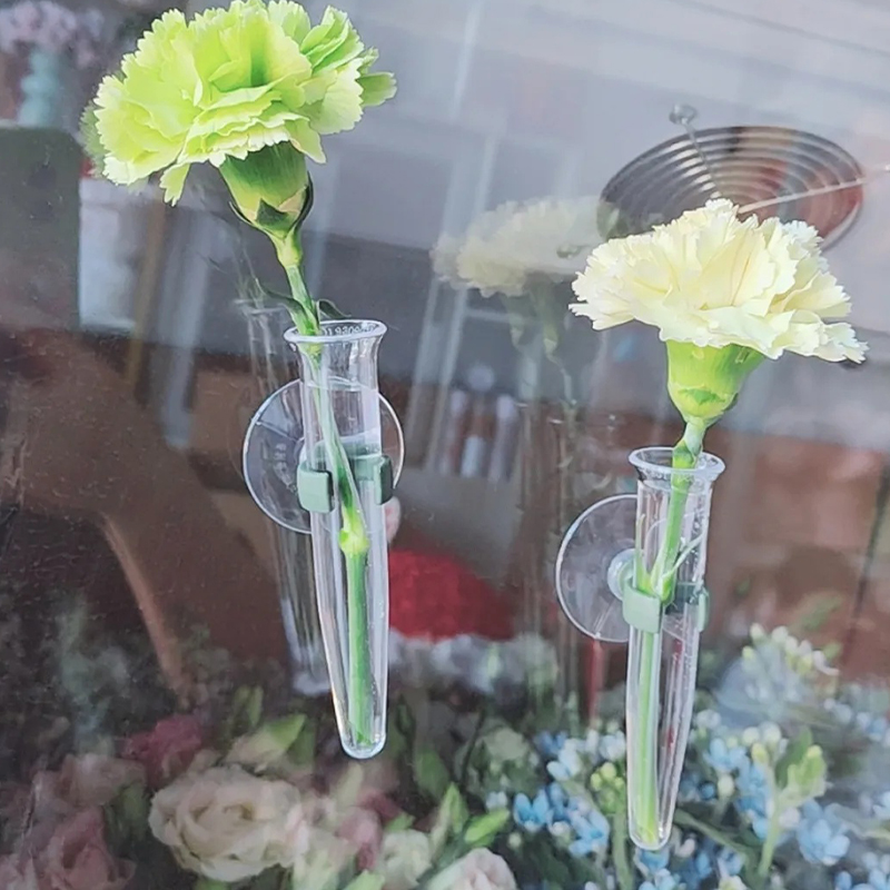 Tubi per Fiori da 11cm, Conten - Nutrition & Fitness Class recensione e prezzo