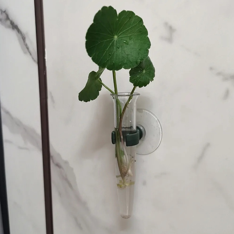 Tubi per Fiori da 11cm, Conten - Nutrition & Fitness Class recensione e prezzo