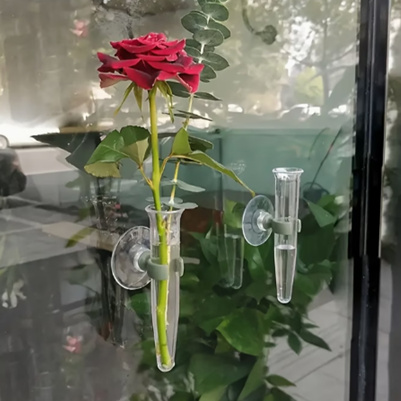 Tubi per Fiori da 11cm, Conten - Nutrition & Fitness Class recensione e prezzo