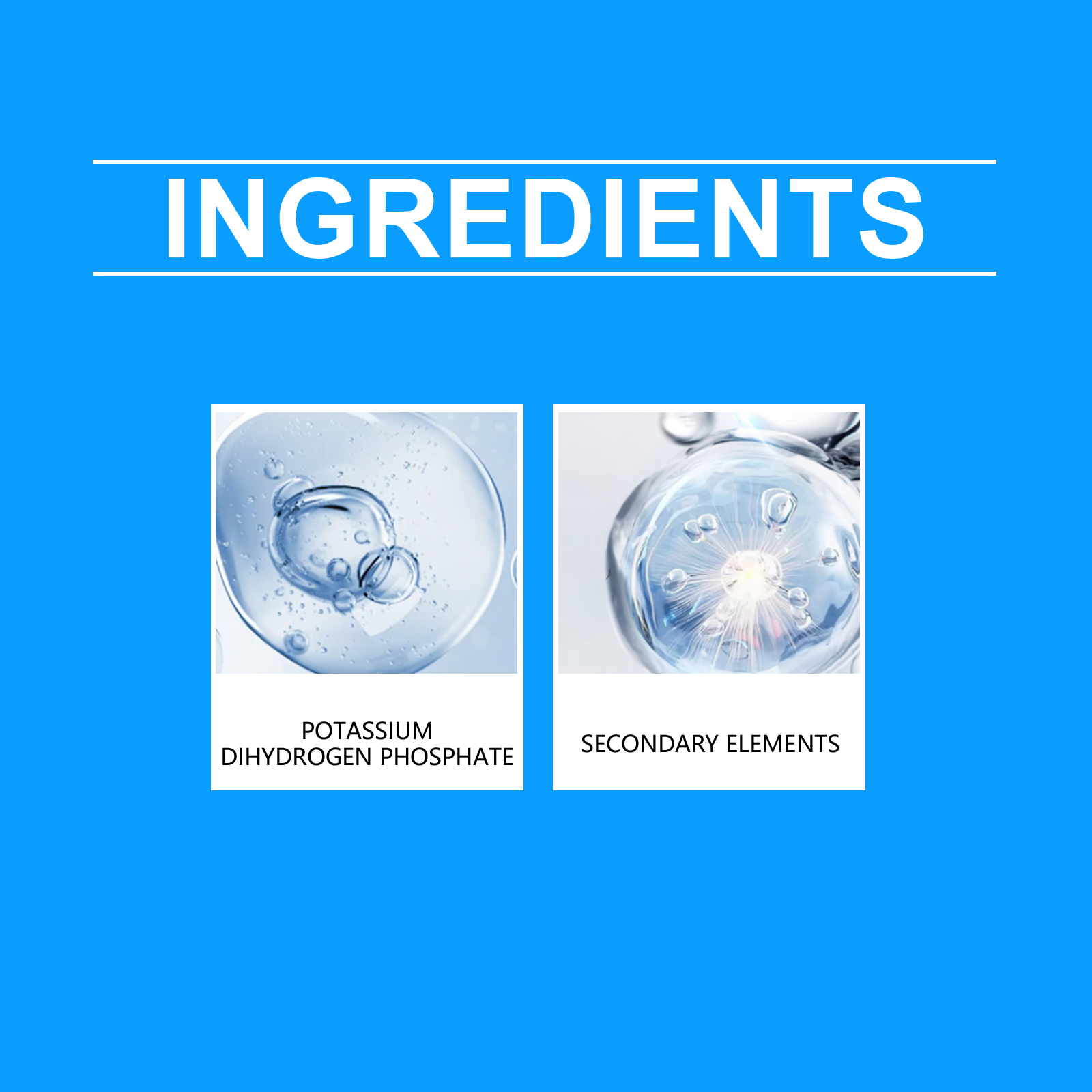 Soluzione nutriente per fiori  - Nutrition & Fitness Class recensione e prezzo